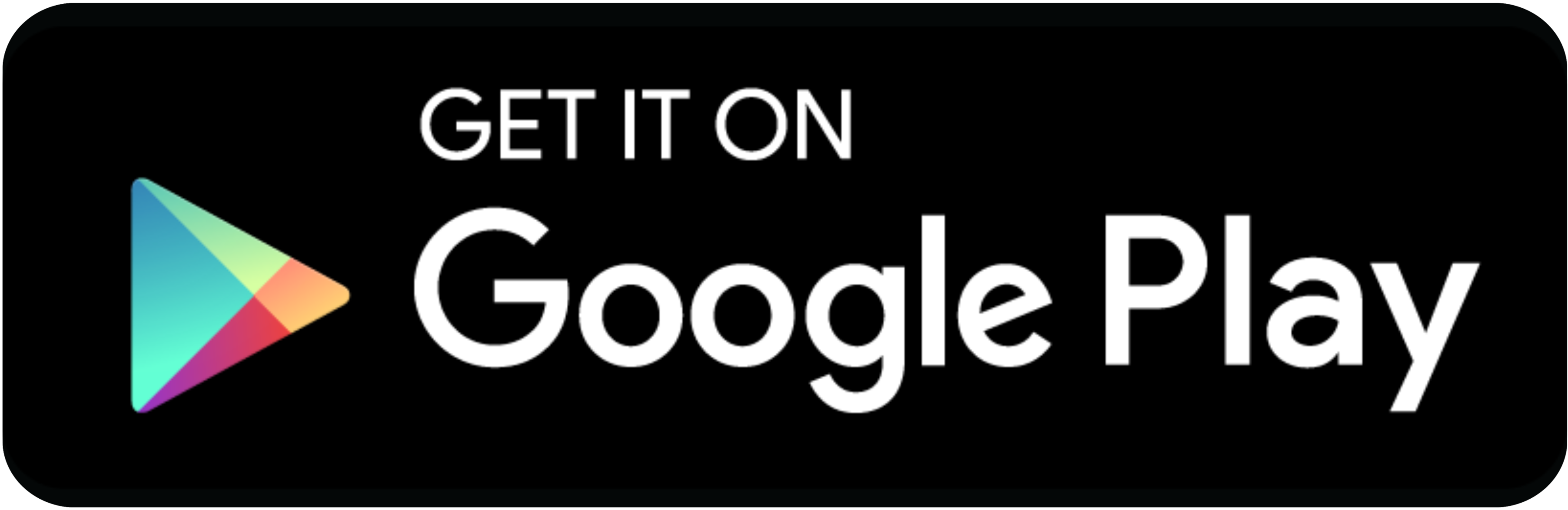 googlePlay icon